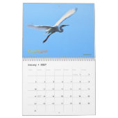 Australische Wasser-Vögel Kalender (Jan 2027)