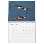 Australische Wasser-Vögel Kalender (Feb 2027)