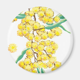 Australische Wattle Magnet