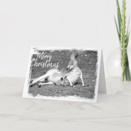 Australische Weihnachtsgrußkarte Karte