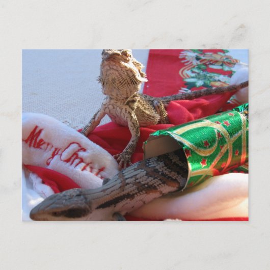 Australische Weihnachtspostkarte Feiertagspostkarte (Vorderseite)