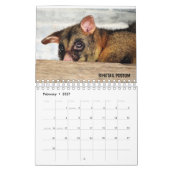 AUSTRALISCHE WILD LEBENDE TIERE KALENDER (Feb 2027)