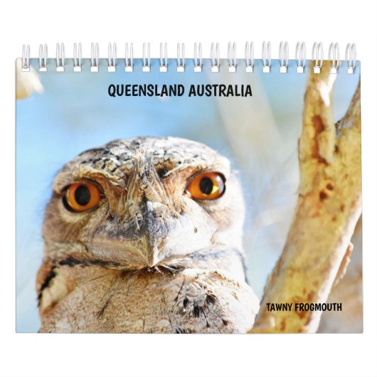 AUSTRALISCHE WILD LEBENDE TIERE KALENDER (Titelbild)