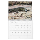 AUSTRALISCHE WILD LEBENDE TIERE KALENDER (Feb 2027)