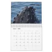 AUSTRALISCHE WILD LEBENDE TIERE KALENDER (Mär 2026)