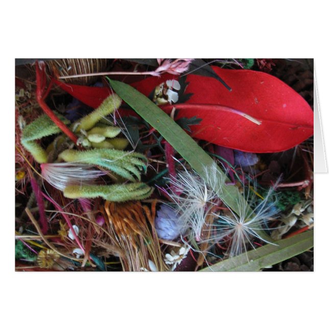 Australische Wildblumen (Vorderseite (Horizontal))