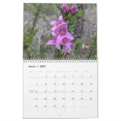 Australische Wildblumen Kalender (Mär 2027)
