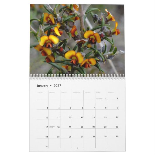 Australische Wildblumen Kalender (Jan 2027)