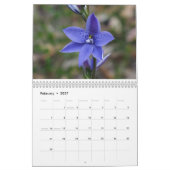 Australische Wildblumen Kalender (Feb 2027)