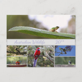 Australische Wildlife Fotografie Feiertagspostkarte