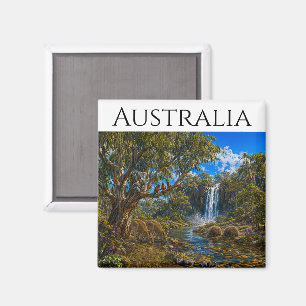 Australische Wildtiere Echidnas Magnet