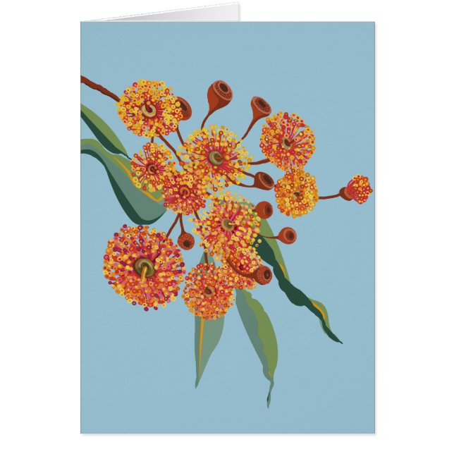 australische Zahnfleischblüten (Vorne)