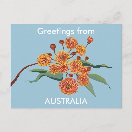 Australische Zahnfleischblüten Postkarte (Vorderseite)