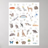 Australischer Alphabet-ABC-Plakat für Kinderzimmer Poster (Vorne)