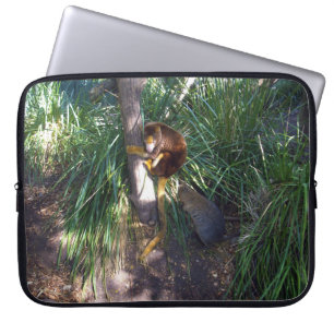 Australischer Baum Kangaroo in einem Baum, Laptopschutzhülle
