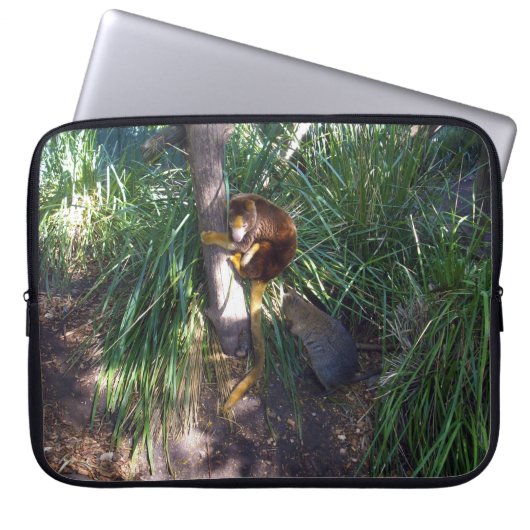 Australischer Baum Kangaroo in einem Baum, Laptopschutzhülle (Vorderseite)