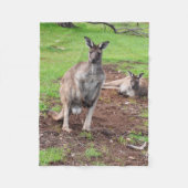 Australischer Buck Kangaroo, kleines Fleece Blanke (Vorderseite)