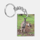 Australischer Buck Kangaroo, Schlüsselanhänger (Vorderseite links)