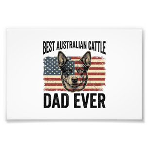 Australischer Cattle Dog Vater Patriotisches Vinta Fotodruck