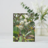 Australischer Eukalyptusbaum in Blume Postkarte (Stehend Vorderseite)