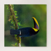 Australischer exotischer Sommervögel mit Herausfor Puzzle (Horizontal)