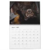 Australischer Flughund-Schläger-Kalender - 3 Kalender (Mär 2027)