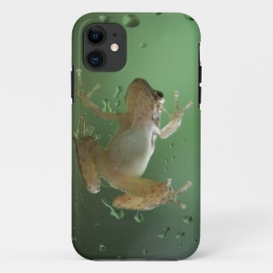 Australischer Frosch super realistischer iPhone Case-Mate iPhone Hülle