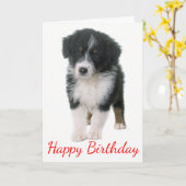 Australischer Hirte Happy Birthday Welpe Hund Karte (Gelbe Blume)