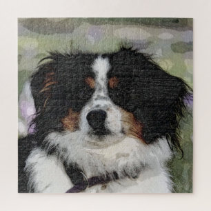Australischer Hirte, Haustier, Hund Puzzle