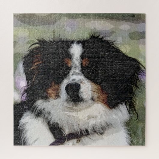 Australischer Hirte, Haustier, Hund Puzzle (Vertikal)