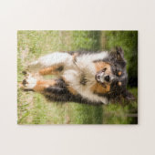 Australischer Hirte mit Ball Puzzle (Horizontal)