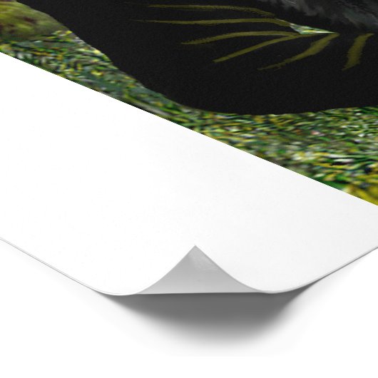 Australischer Hirte (Tri) von Mona Lisa Poster (Ecke)