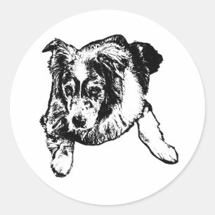 Australischer Hund Aufkleber – Ruhiger und fokussi
