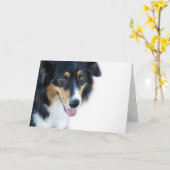 Australischer Hundeleere Karte (Gelbe Blume)