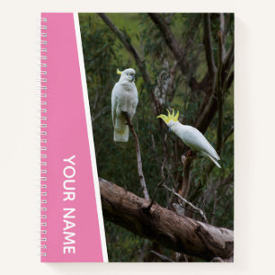 Australischer Kakadu Papagei Vogel Paar, Rosa Notizblock