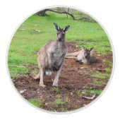 Australischer Kangaroo Couple, Keramikknauf (Vorderseite)