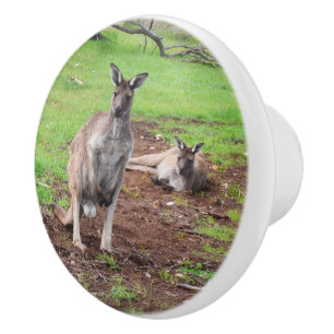 Australischer Kangaroo Couple, Keramikknauf