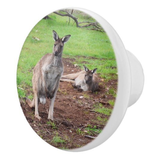 Australischer Kangaroo Couple, Keramikknauf (Rechts)