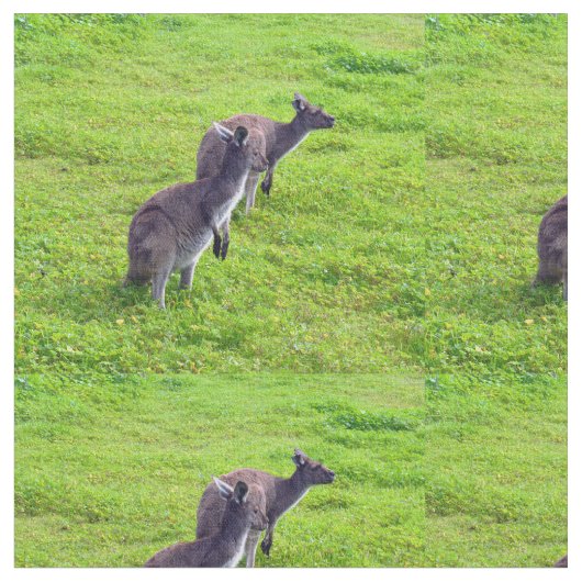 Australischer Kangaroos auf Grünweide, Stoff (Nahaufnahme)