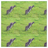 Australischer Kangaroos auf Grünweide, Stoff (Muster)