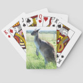 Australischer Känguru-Spielkarten Spielkarten (Rückseite)
