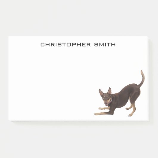 Australischer Kelpie-Hund Post-it Klebezettel (Vorderseite)