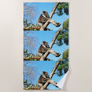 australischer Koala-Bär im alten Kiefernbaum, Strandtuch