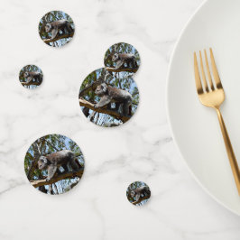 Australischer Koala Bear, Konfetti