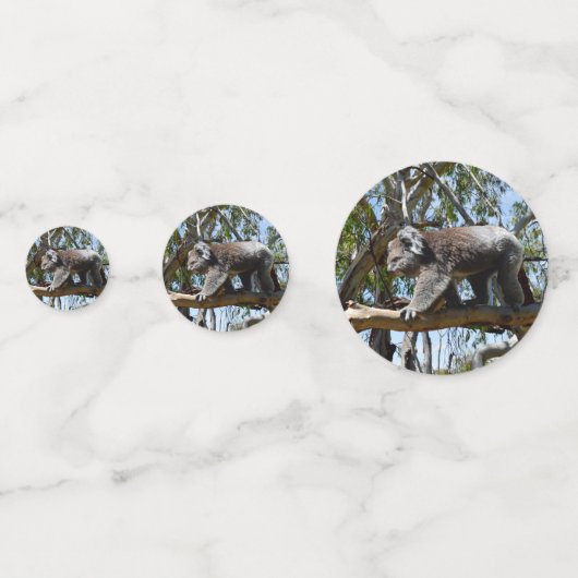 Australischer Koala Bear, Konfetti (Vorderseiten)