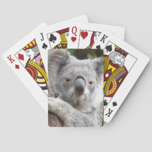 Australischer Koala Spielkarten
