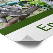 Australischer Koalas, gefährdete Arten Poster (Ecke)