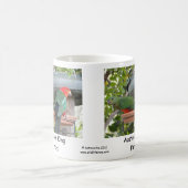 Australischer König Parrots Kaffeetasse (Mittel)