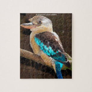 Australischer Kookaburra Puzzle
