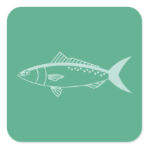 Australischer Lachsfisch in Aqua auf Minze Green